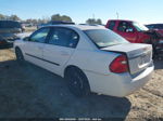 2004 Chevrolet Malibu White vin: 1G1ZS52F24F158691