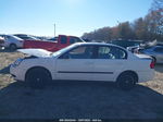 2004 Chevrolet Malibu White vin: 1G1ZS52F24F158691