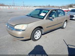 2004 Chevrolet Malibu   Gold vin: 1G1ZS52F34F159848