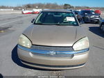 2004 Chevrolet Malibu   Gold vin: 1G1ZS52F34F159848