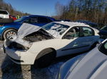 2004 Chevrolet Malibu  White vin: 1G1ZS52F54F243038