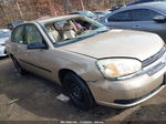 2004 Chevrolet Malibu Gold vin: 1G1ZS52F54F246621