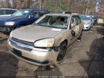 2004 Chevrolet Malibu Gold vin: 1G1ZS52F54F246621