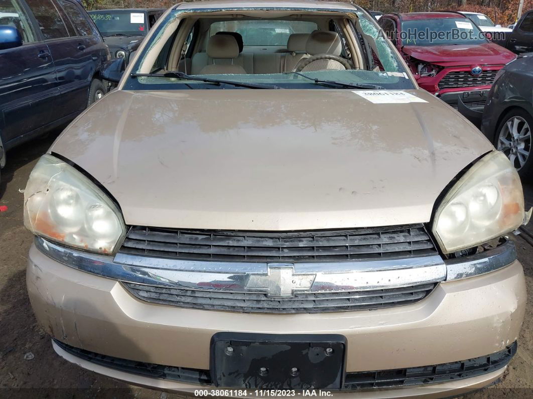 2004 Chevrolet Malibu Золотой vin: 1G1ZS52F54F246621