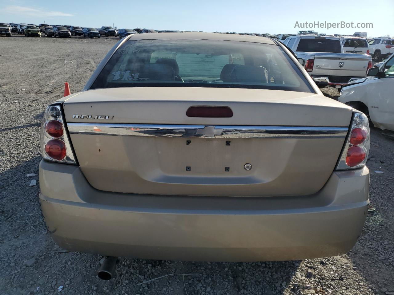 2004 Chevrolet Malibu  Tan vin: 1G1ZS52F94F128202