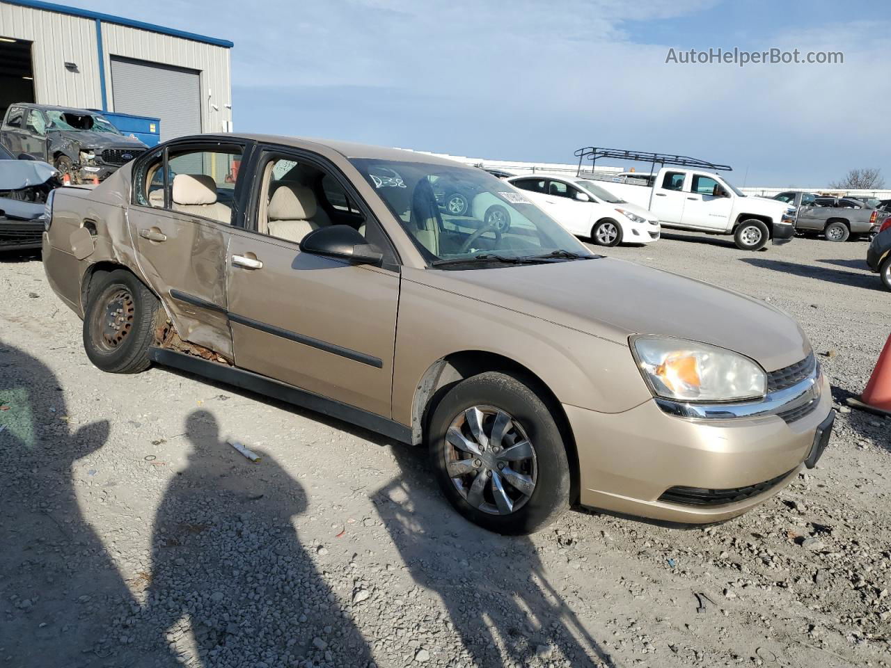 2004 Chevrolet Malibu  Tan vin: 1G1ZS52F94F128202