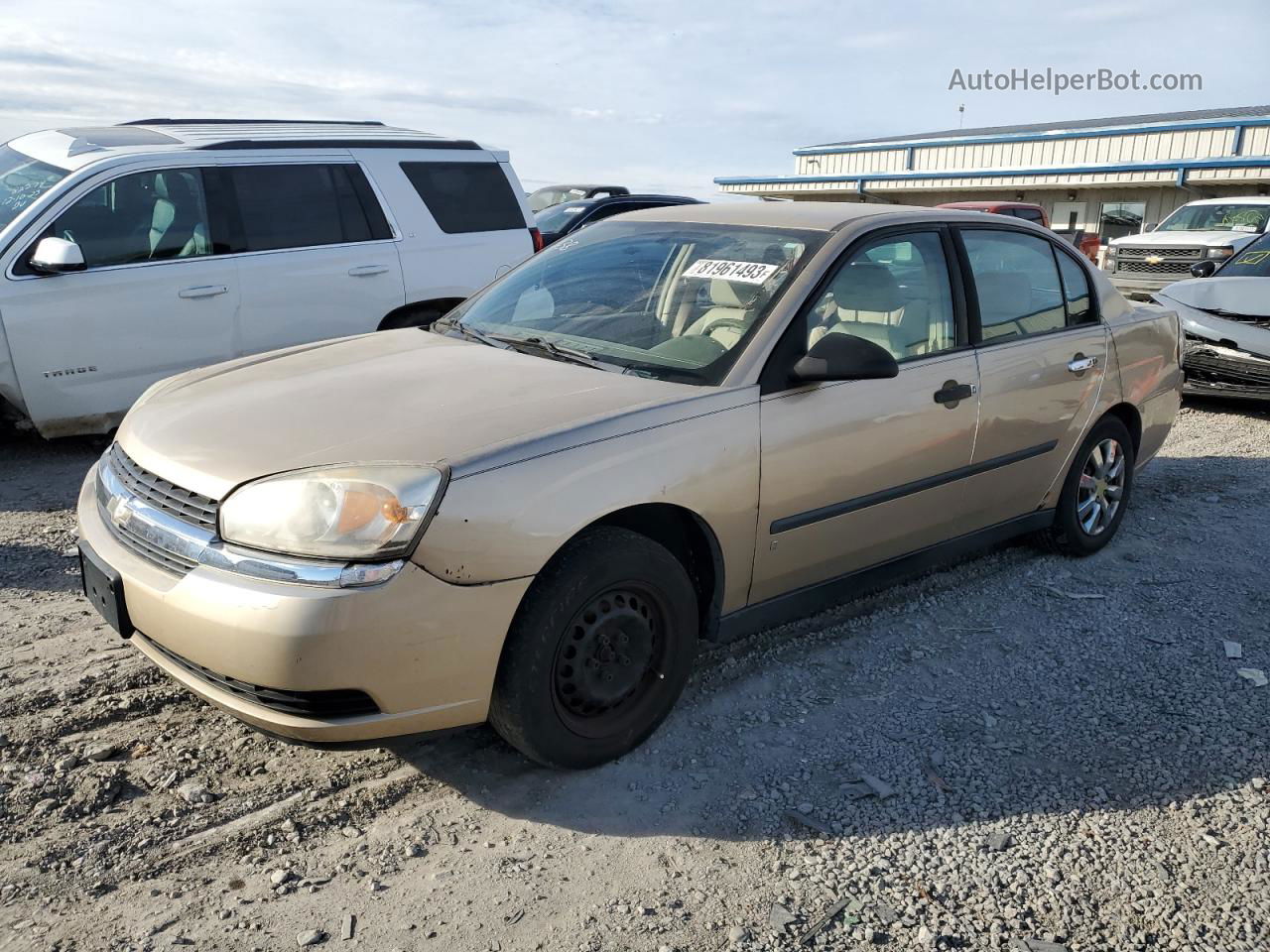 2004 Chevrolet Malibu  Tan vin: 1G1ZS52F94F128202