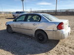 2004 Chevrolet Malibu  Gray vin: 1G1ZS52F94F188268