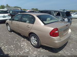 2004 Chevrolet Malibu Ls Tan vin: 1G1ZT52804F250168