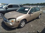 2004 Chevrolet Malibu Ls Tan vin: 1G1ZT52804F250168