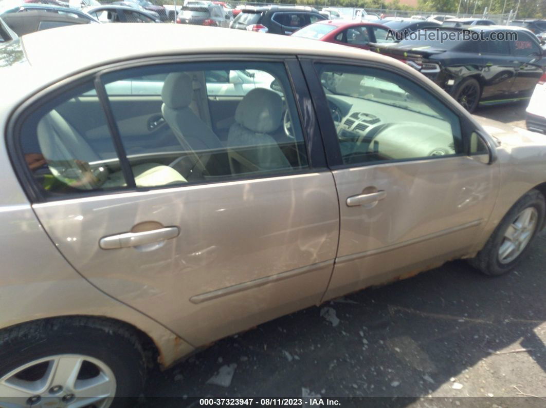 2004 Chevrolet Malibu Ls Tan vin: 1G1ZT52804F250168