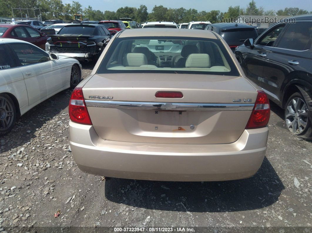 2004 Chevrolet Malibu Ls Tan vin: 1G1ZT52804F250168