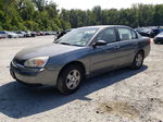 2004 Chevrolet Malibu Ls Gray vin: 1G1ZT52824F108629