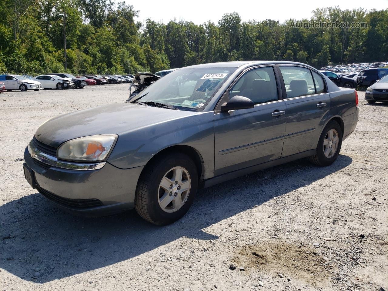 2004 Chevrolet Malibu Ls Gray vin: 1G1ZT52824F108629