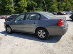 2004 Chevrolet Malibu Ls Gray vin: 1G1ZT52824F108629