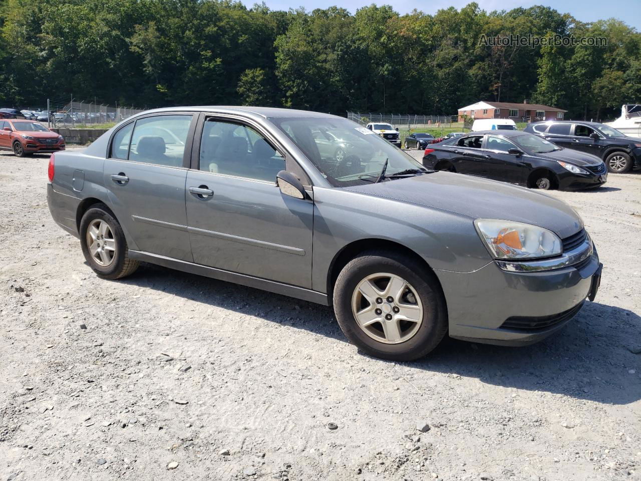 2004 Chevrolet Malibu Ls Gray vin: 1G1ZT52824F108629