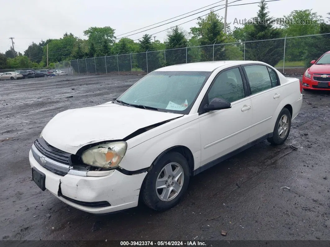 2004 Chevrolet Malibu Ls Белый vin: 1G1ZT52834F173795