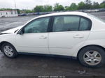 2004 Chevrolet Malibu Ls White vin: 1G1ZT52834F173795