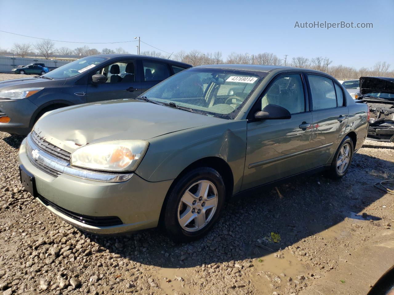 2004 Chevrolet Malibu Ls Green vin: 1G1ZT52854F137851