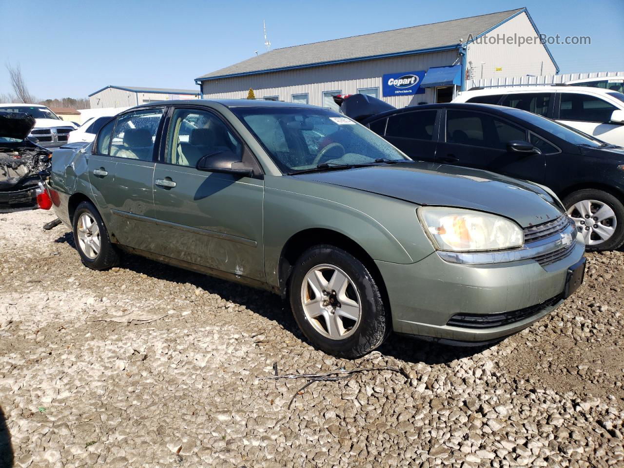 2004 Chevrolet Malibu Ls Green vin: 1G1ZT52854F137851