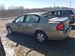 2004 Chevrolet Malibu Ls Green vin: 1G1ZT52854F137851