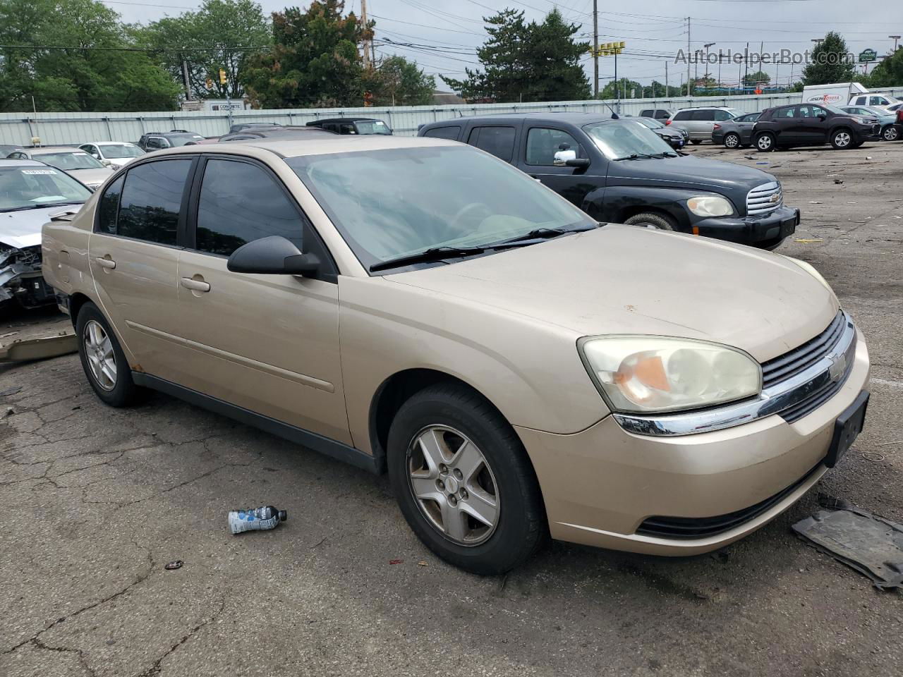 2004 Chevrolet Malibu Ls Tan vin: 1G1ZT52854F171286