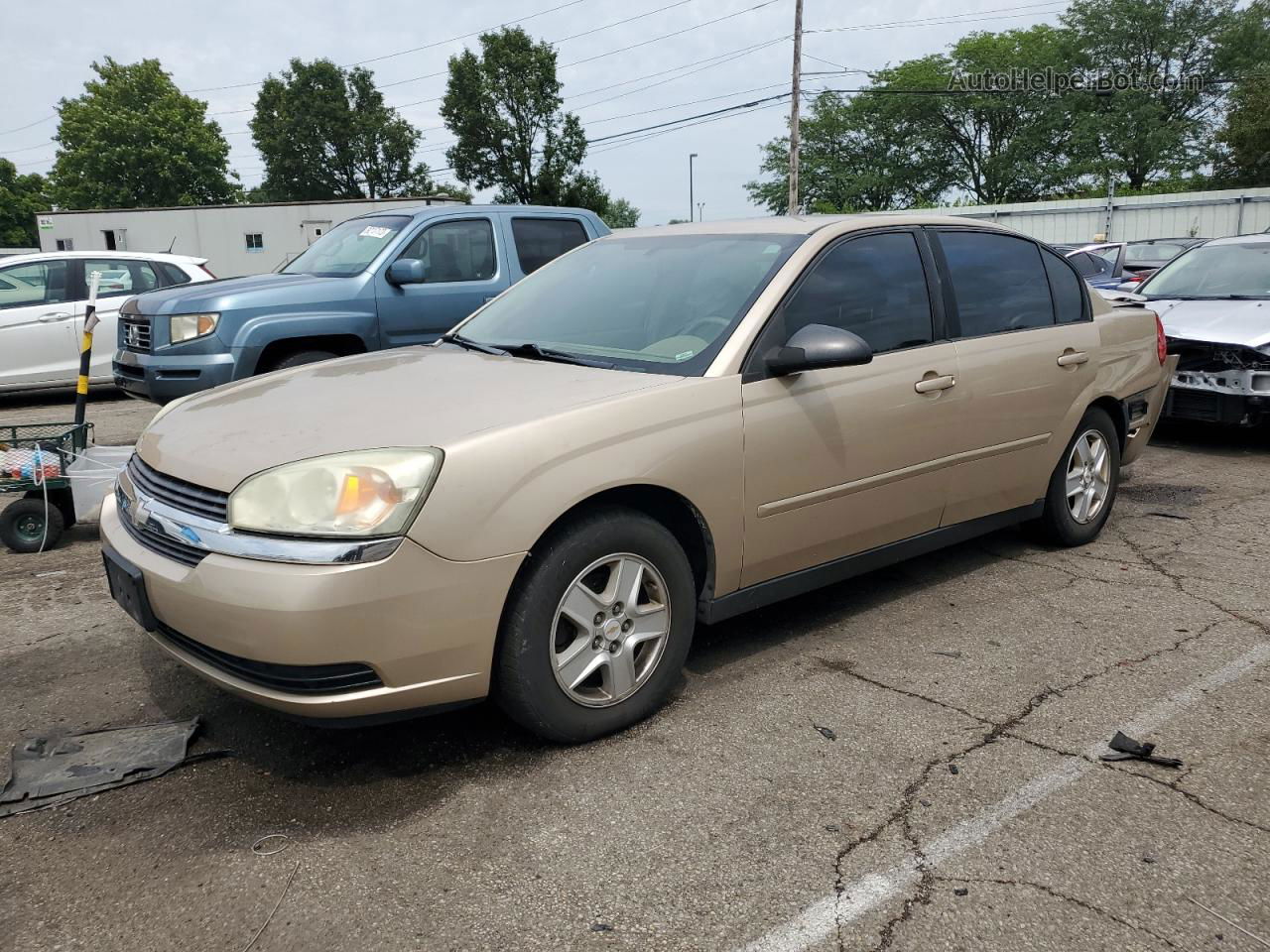 2004 Chevrolet Malibu Ls Tan vin: 1G1ZT52854F171286