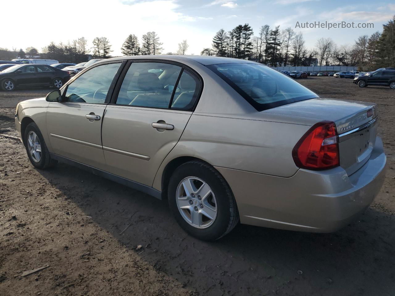 2004 Chevrolet Malibu Ls Желто-коричневый vin: 1G1ZT52894F124892