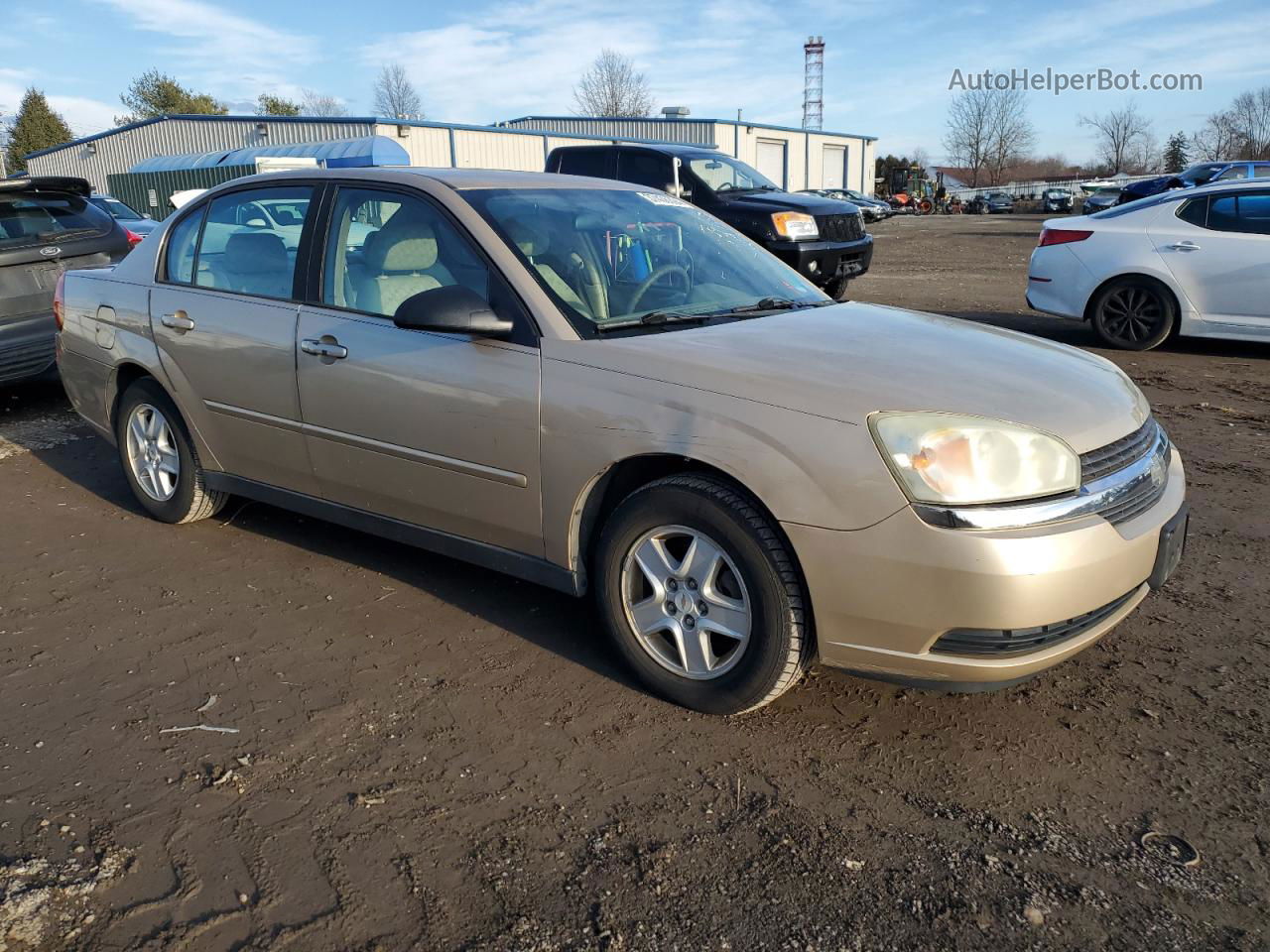 2004 Chevrolet Malibu Ls Желто-коричневый vin: 1G1ZT52894F124892