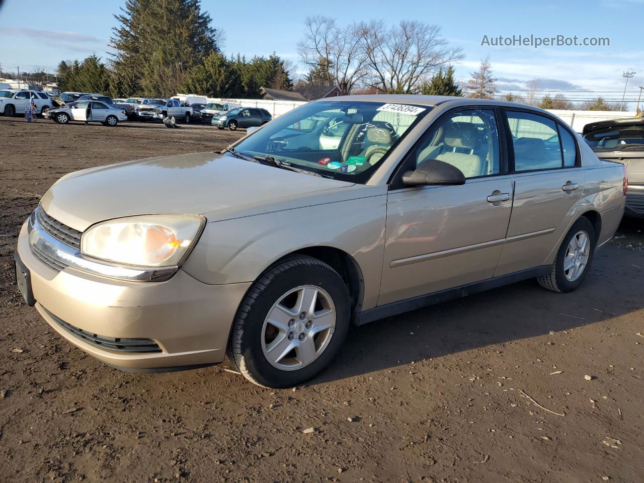 2004 Chevrolet Malibu Ls Желто-коричневый vin: 1G1ZT52894F124892