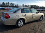 2004 Chevrolet Malibu Ls Tan vin: 1G1ZT52894F124892