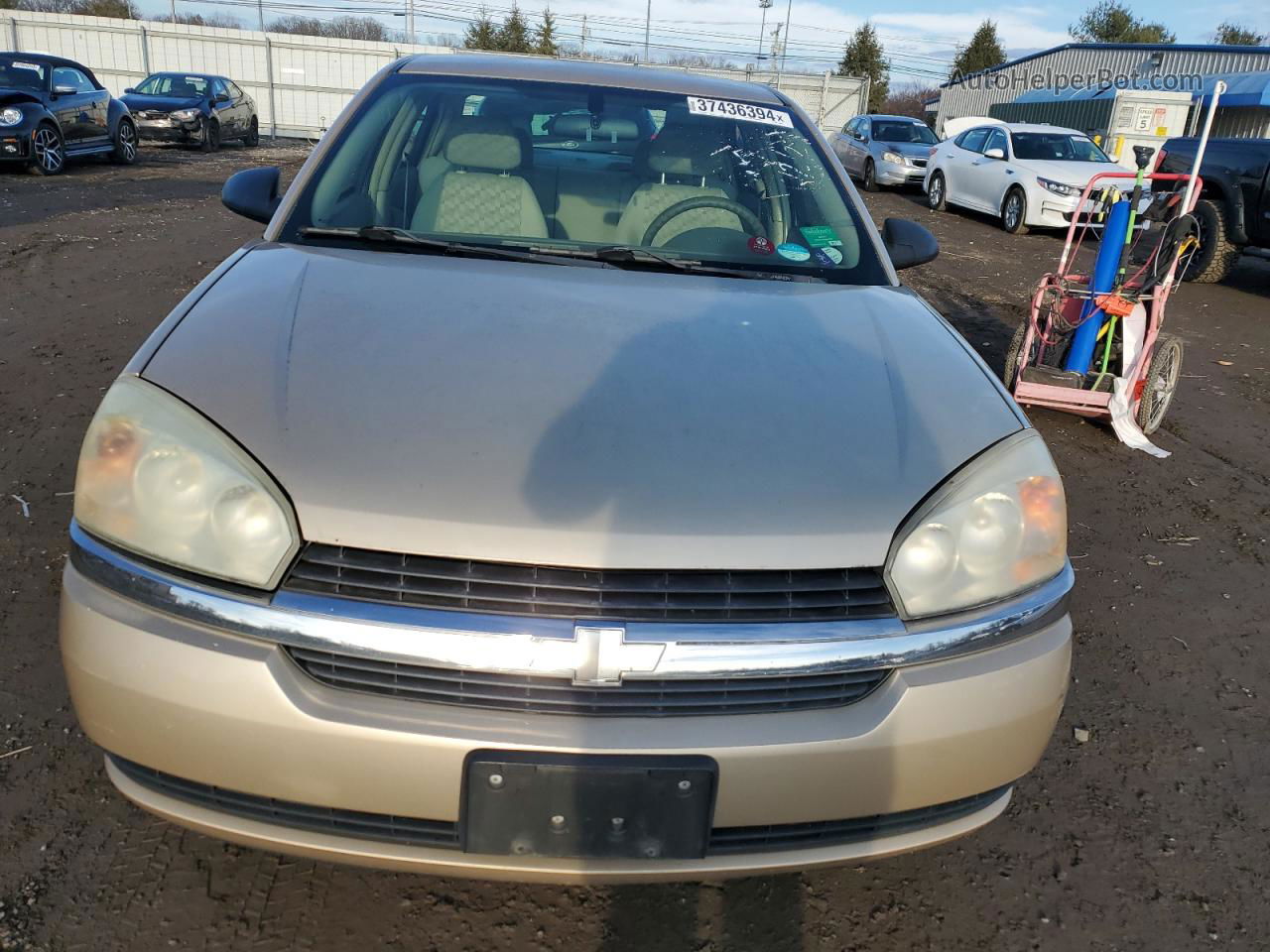 2004 Chevrolet Malibu Ls Tan vin: 1G1ZT52894F124892