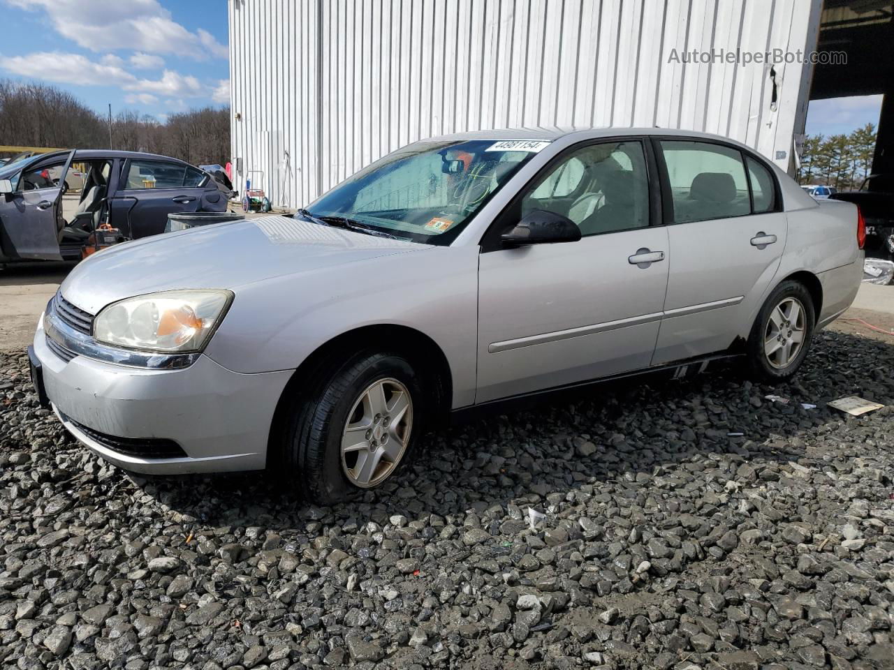 2004 Chevrolet Malibu Ls Silver vin: 1G1ZT52894F212051