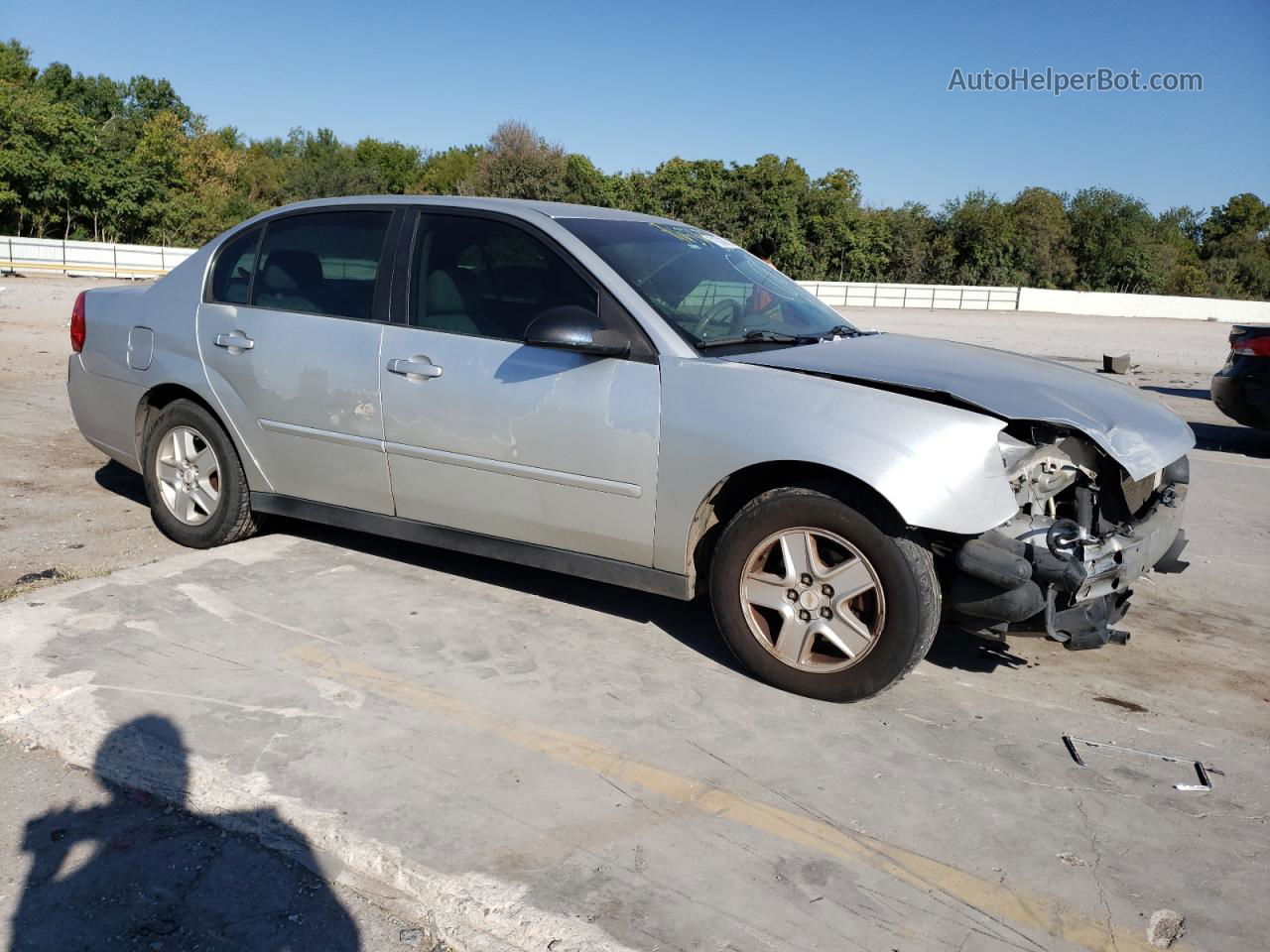 2004 Chevrolet Malibu Ls Silver vin: 1G1ZT528X4F214486