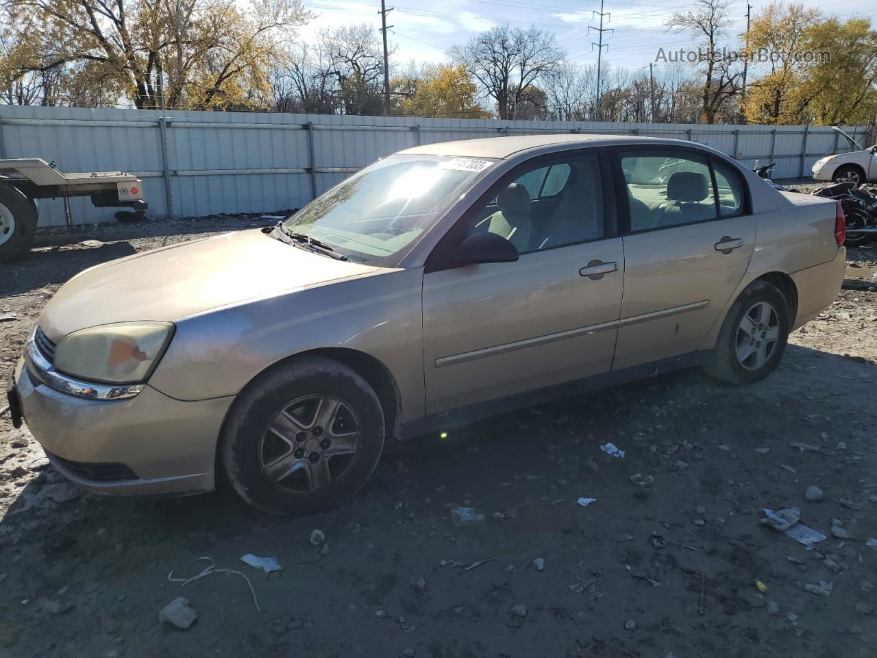 2004 Chevrolet Malibu Ls Gold vin: 1G1ZT54804F125409