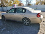 2004 Chevrolet Malibu Ls Gold vin: 1G1ZT54804F125409