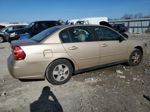 2004 Chevrolet Malibu Ls Gold vin: 1G1ZT54804F125409