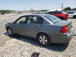 2004 Chevrolet Malibu Ls Gray vin: 1G1ZT54824F120406