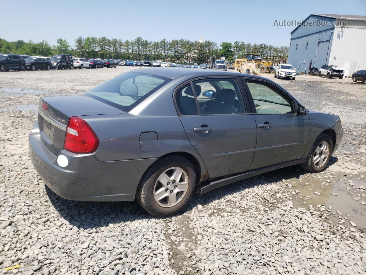 2004 Chevrolet Malibu Ls Gray vin: 1G1ZT54824F120406