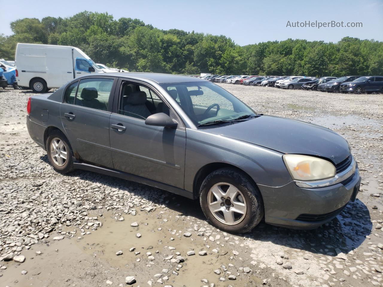 2004 Chevrolet Malibu Ls Gray vin: 1G1ZT54824F120406