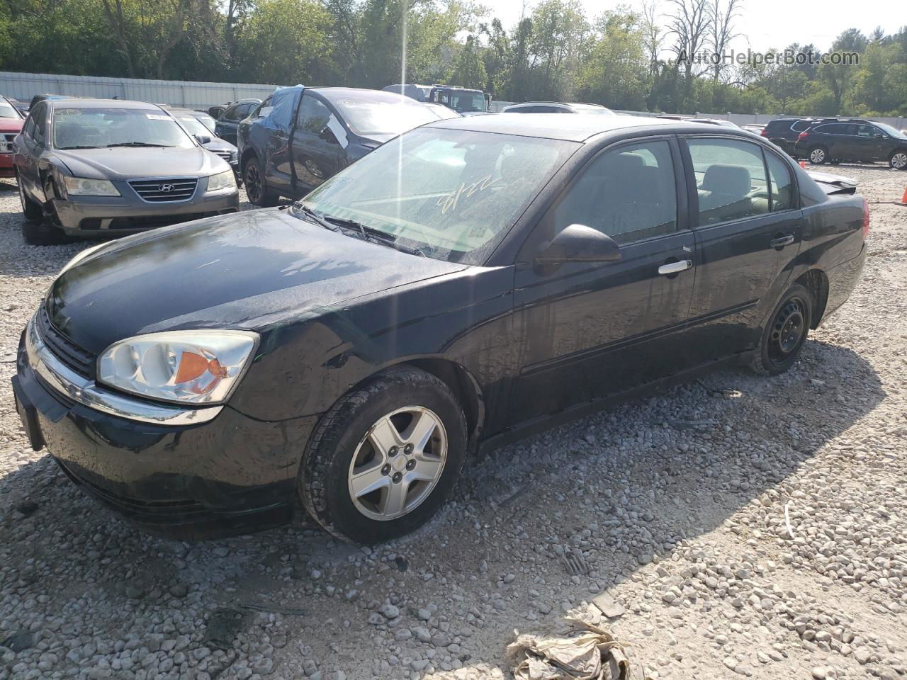 2004 Chevrolet Malibu Ls Black vin: 1G1ZT54844F108130