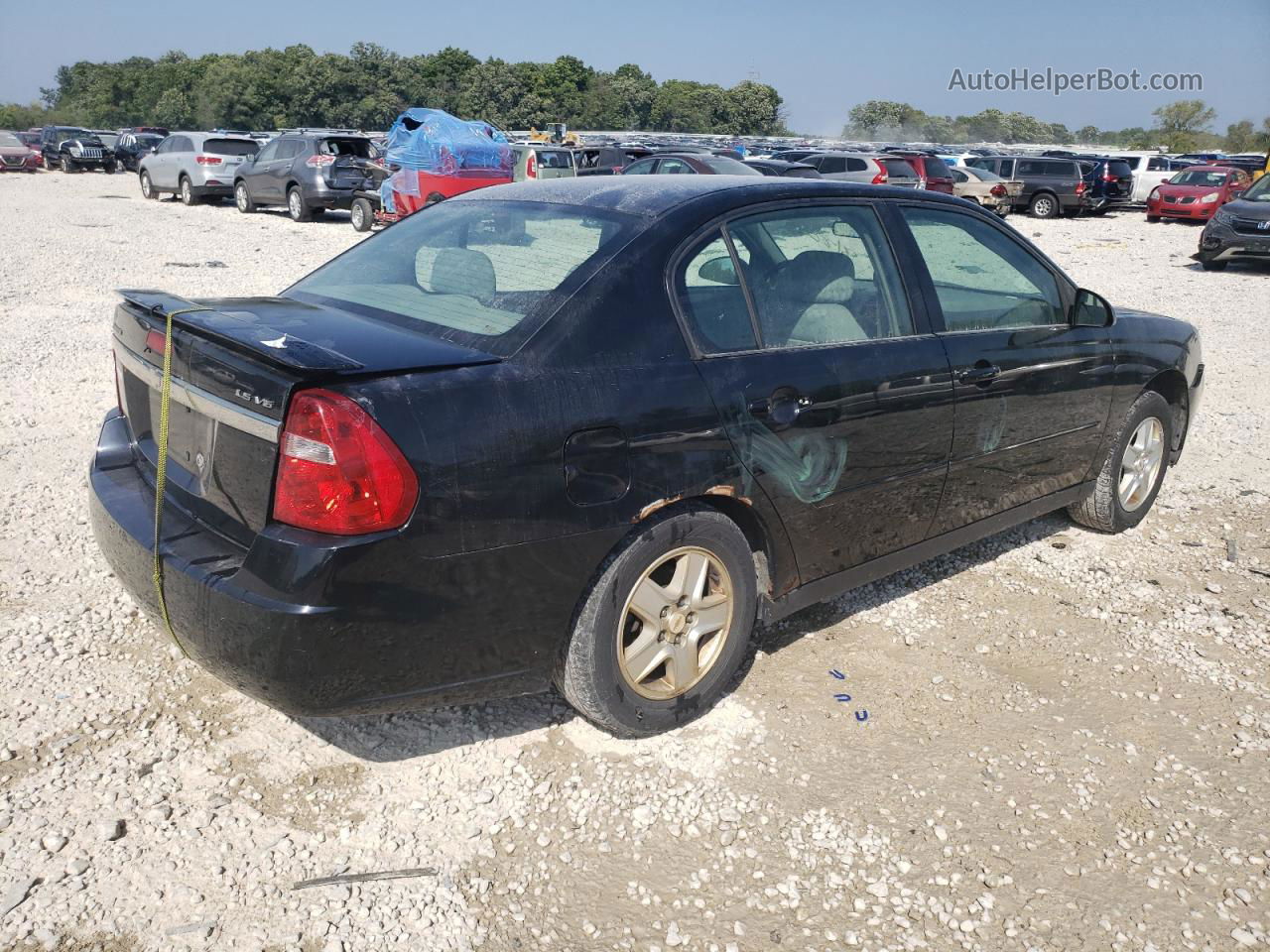 2004 Chevrolet Malibu Ls Black vin: 1G1ZT54844F108130