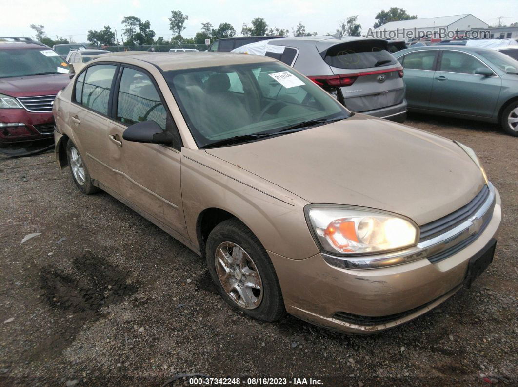 2004 Chevrolet Malibu Ls Золотой vin: 1G1ZT54844F205716