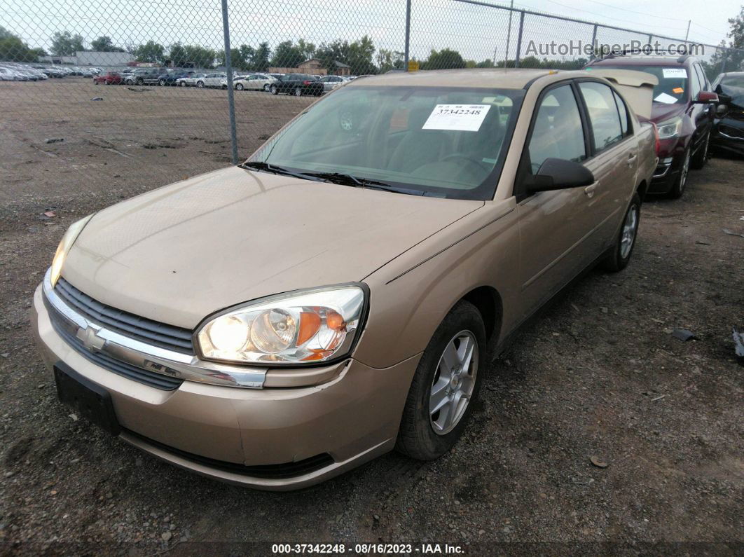 2004 Chevrolet Malibu Ls Золотой vin: 1G1ZT54844F205716