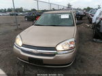 2004 Chevrolet Malibu Ls Gold vin: 1G1ZT54844F205716