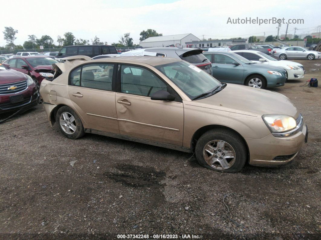 2004 Chevrolet Malibu Ls Золотой vin: 1G1ZT54844F205716