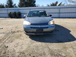 2004 Chevrolet Malibu Maxx Ls Gray vin: 1G1ZT62834F248971