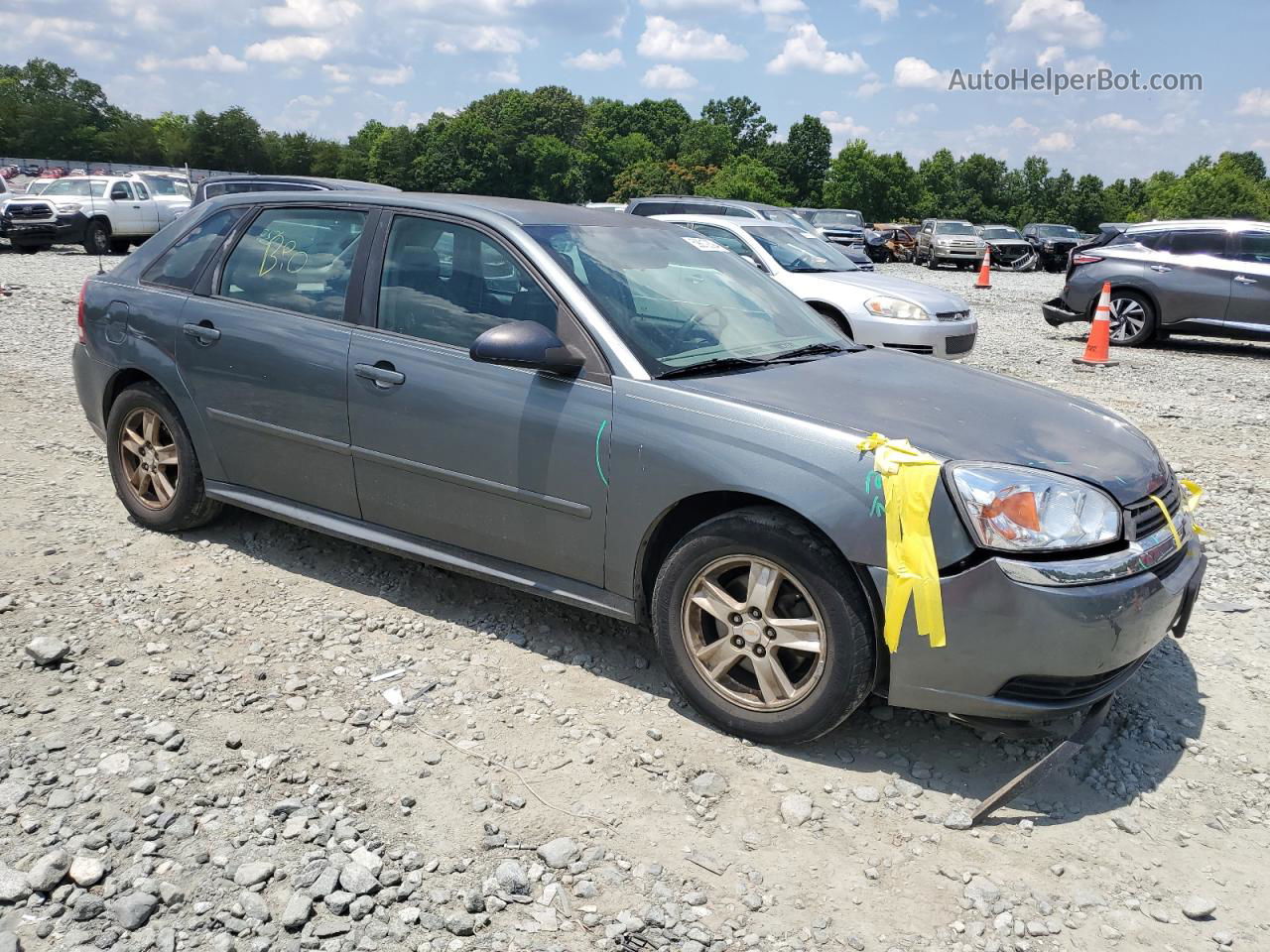 2004 Chevrolet Malibu Maxx Ls Gray vin: 1G1ZT62874F190699