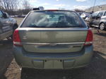 2004 Chevrolet Malibu Maxx Ls Зеленый vin: 1G1ZT64864F173504