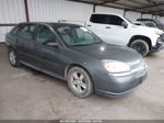 2004 Chevrolet Malibu Maxx Ls Gray vin: 1G1ZT64884F159555